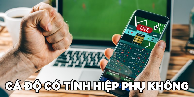 Cá độ có tính hiệp phụ không phụ thuộc kèo và nhà cái